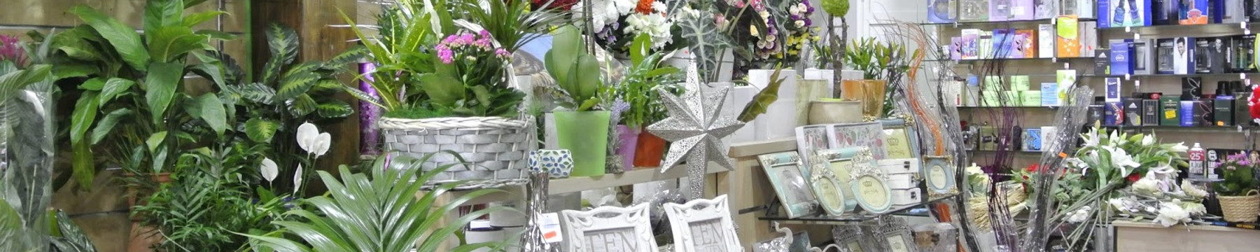 Floristería y Regalos Rocío